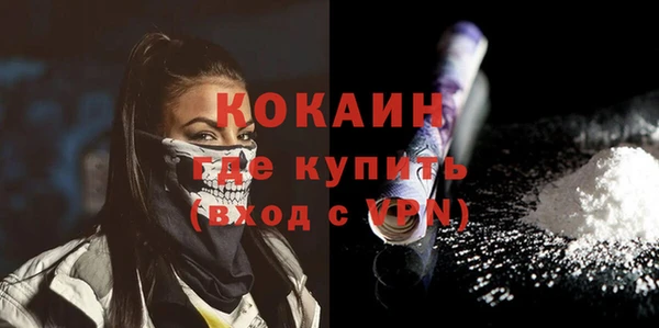винт Инсар
