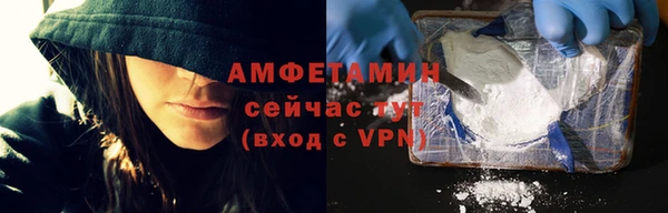 прущие грибы Иннополис