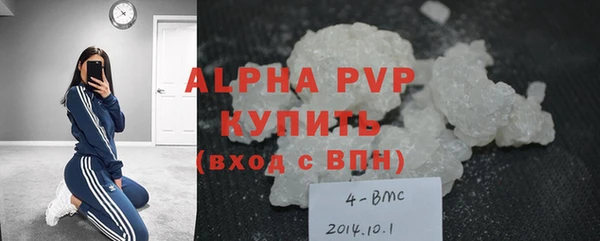 прущие грибы Иннополис