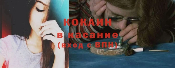 винт Инсар