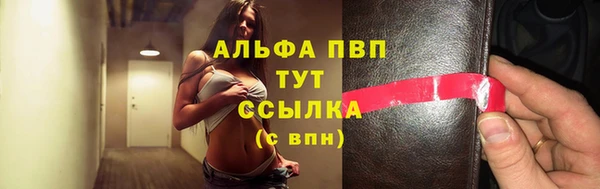 винт Инсар