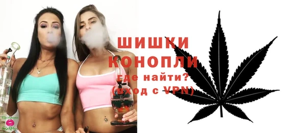 винт Инсар