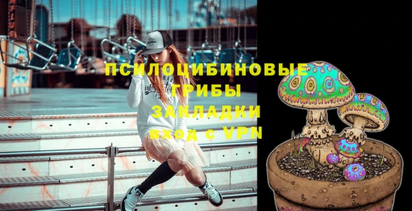 прущие грибы Иннополис