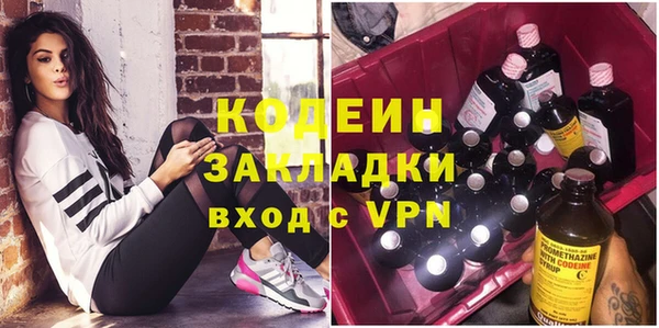 прущие грибы Иннополис