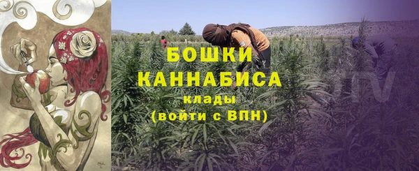 молекула духа Инта