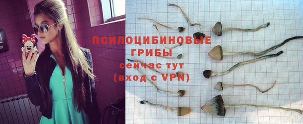 прущие грибы Иннополис