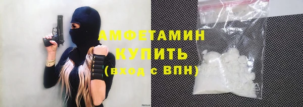 прущие грибы Иннополис