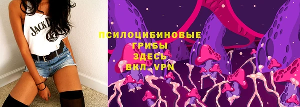 прущие грибы Иннополис